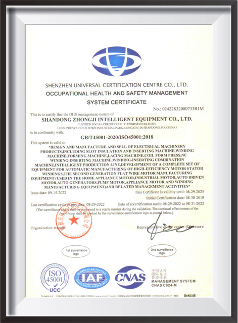 Certificato di gestione professionale-sanità e sicurezza